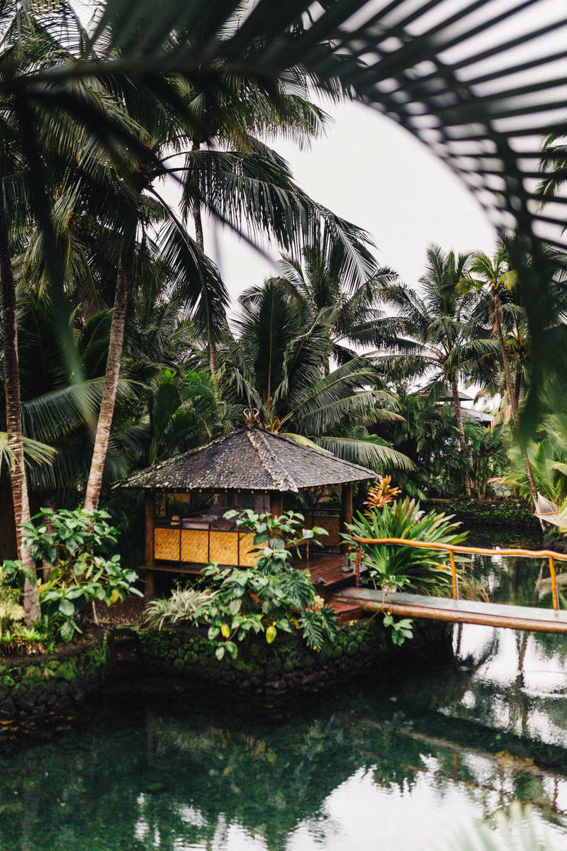 Family Relations Matter More Than Love When it Comes to Health